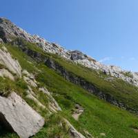 IMG_20190826_131723_536